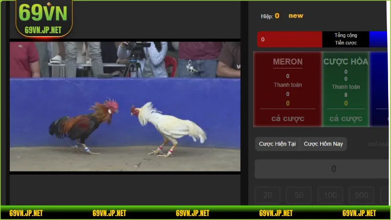 Tổng hợp những thể loại đá gà AOG được yêu thích nhất năm 2025