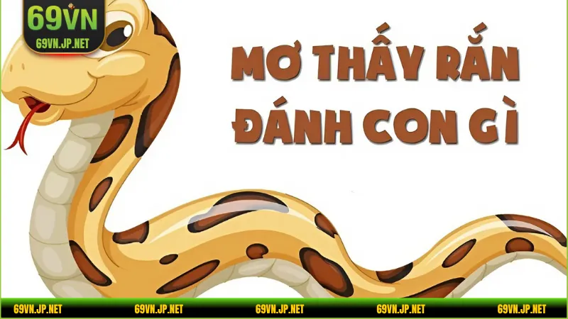 Top các tình tiết giấc mơ về rắn phổ biến và lô hay đi kèm