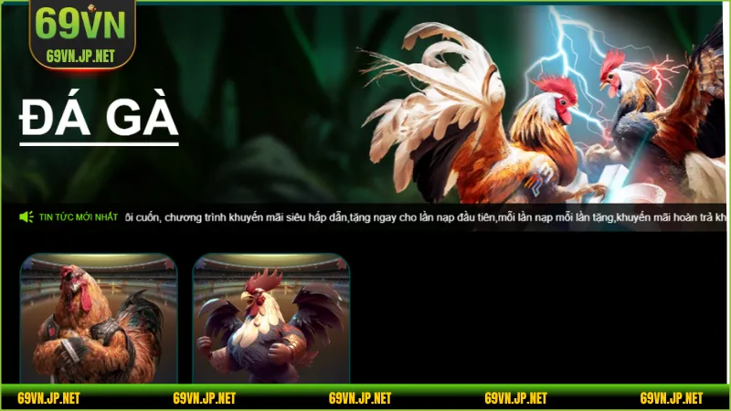 Vì sao nên tham gia đá gà AOG online?